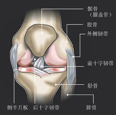 石家庄跑步机